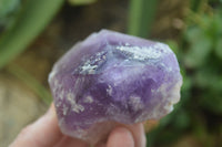 Polished Window Amethyst Crystals x 4 From Madagascar