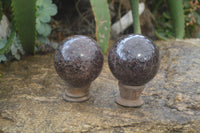 Polished Pyrope Garnet Sphere-Balls x 4 From Madagascar