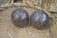 Polished Pyrope Garnet Sphere-Balls x 4 From Madagascar