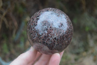 Polished Pyrope Garnet Sphere-Balls x 4 From Madagascar