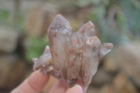 Natural Hematoid Quartz Specimens x 12 From Karoi, Zimbabwe