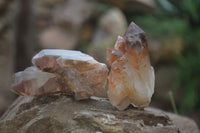 Natural Hematoid Quartz Specimens x 12 From Karoi, Zimbabwe