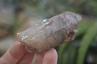 Natural Hematoid Quartz Specimens x 12 From Karoi, Zimbabwe