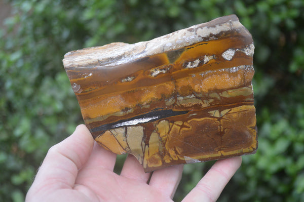 Polished On One Side Nguni Jasper Specimens x 2 From Prieska, South Africa