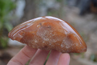 Polished Red Sashe River Agate Nodules x 6 From Zimbabwe