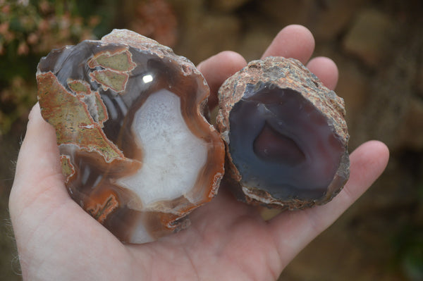 Polished Red Sashe River Agate Nodules x 6 From Zimbabwe