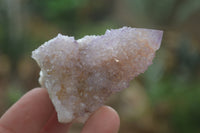 Natural Ametrine Spirit Quartz Specimens x 20 From Boekenhouthoek, South Africa