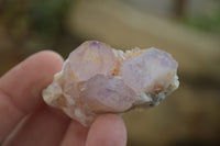 Natural Ametrine Spirit Quartz Specimens x 20 From Boekenhouthoek, South Africa