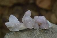 Natural Ametrine Spirit Quartz Specimens x 20 From Boekenhouthoek, South Africa