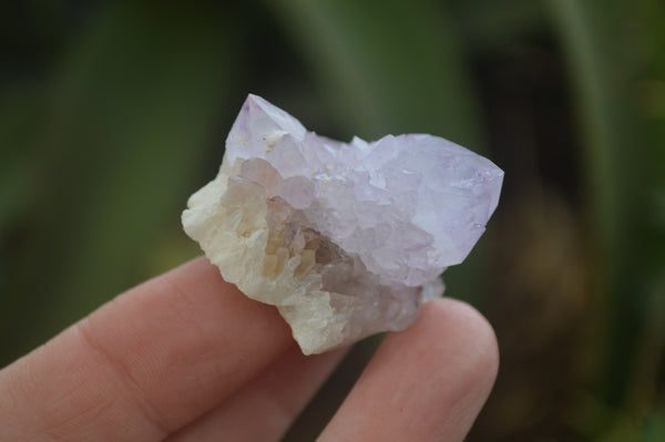 Natural Ametrine Spirit Quartz Specimens x 20 From Boekenhouthoek, South Africa