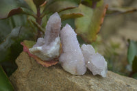 Natural Ametrine Spirit Quartz Specimens x 20 From Boekenhouthoek, South Africa