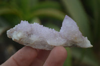 Natural Ametrine Spirit Quartz Specimens x 20 From Boekenhouthoek, South Africa