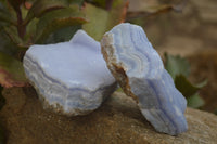 Natural Crystalline Blue Lace Agate Specimens x 4 From Namibia