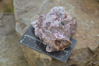 Natural Salrose Cobaltion Dolomite Specimens x 6 From Kakanda, Congo