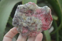 Natural Rhodonite Cobbed Specimens x 6 From Zimbabwe