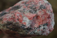 Natural Rhodonite Cobbed Specimens x 6 From Zimbabwe