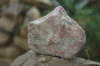 Natural Rhodonite Cobbed Specimens x 6 From Zimbabwe