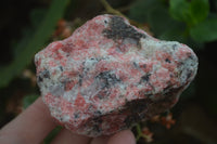 Natural Rhodonite Cobbed Specimens x 6 From Zimbabwe