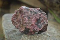 Natural Rhodonite Cobbed Specimens x 6 From Zimbabwe