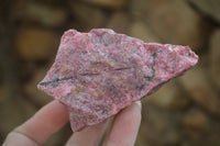 Natural Rhodonite Cobbed Specimens x 6 From Zimbabwe