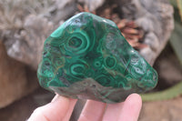 Polished Flower Banded Malachite Free Forms x 4 From Congo