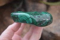 Polished Flower Banded Malachite Free Forms x 4 From Congo