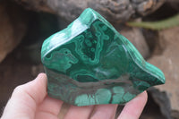 Polished Flower Banded Malachite Free Forms x 4 From Congo