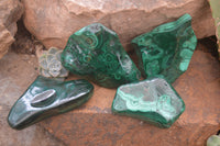 Polished Flower Banded Malachite Free Forms x 4 From Congo