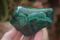 Polished Flower Banded Malachite Free Forms x 4 From Congo