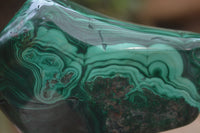 Polished Flower Banded Malachite Free Forms x 4 From Congo