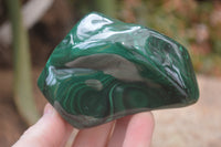 Polished Flower Banded Malachite Free Forms x 4 From Congo