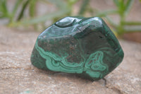 Polished Flower Banded Malachite Free Forms x 4 From Congo