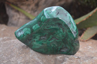 Polished Flower Banded Malachite Free Forms x 4 From Congo