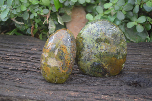 Polished Green Opal Standing Free Forms x 2 From Antsirabe, Madagascar