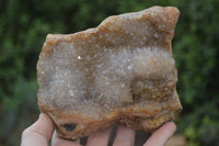 Natural Zululand Dark Amethyst Geodes x 3 from Jozini, South Africa