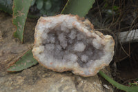 Natural Zululand Dark Amethyst Geodes x 3 from Jozini, South Africa