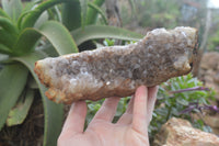 Natural Zululand Dark Amethyst Geodes x 3 from Jozini, South Africa