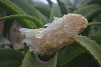 Natural Quartz Clusters x 6 From Madagascar