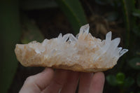 Natural Quartz Clusters x 6 From Madagascar