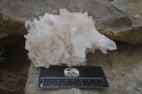 Natural Quartz Clusters x 6 From Madagascar