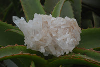 Natural Quartz Clusters x 6 From Madagascar