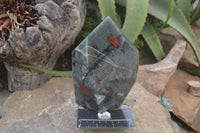 Polished Conglomerate Bloodstone Prism x 1 From Swaziland