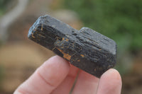 Natural Alluvial Schorl Black Tourmaline Crystals x 20 From Zimbabwe