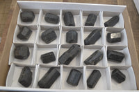 Natural Alluvial Schorl Black Tourmaline Crystals x 20 From Zimbabwe