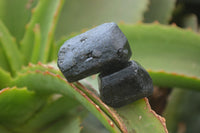 Natural Alluvial Schorl Black Tourmaline Crystals x 20 From Zimbabwe