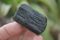 Natural Alluvial Schorl Black Tourmaline Crystals x 20 From Zimbabwe