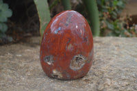 Polished Red Jasper Standing Free Form x 1 From Madagascar