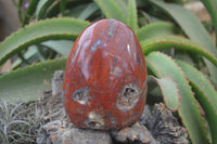 Polished Red Jasper Standing Free Form x 1 From Madagascar