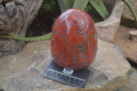 Polished Red Jasper Standing Free Form x 1 From Madagascar