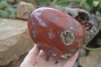 Polished Red Jasper Standing Free Form x 1 From Madagascar